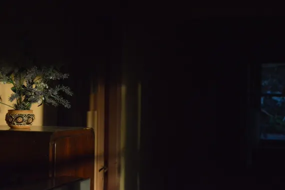 Trada Casino Tacaíocht